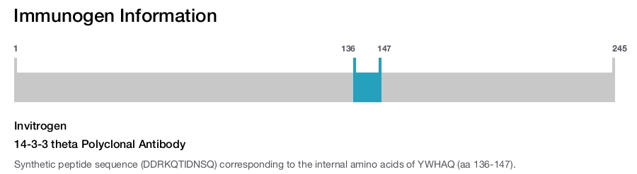 14-3-3 theta Polyclonal Antibody