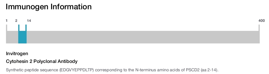 Cytohesin 2 Polyclonal Antibody
