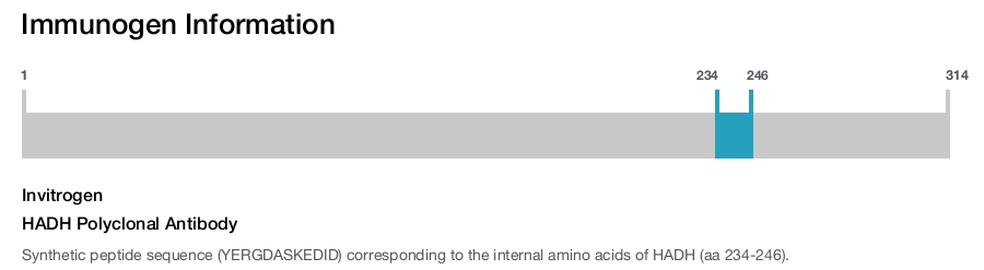 HADH Polyclonal Antibody
