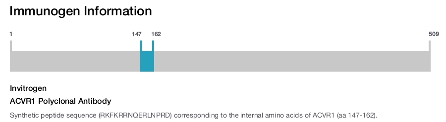 ACVR1 Polyclonal Antibody