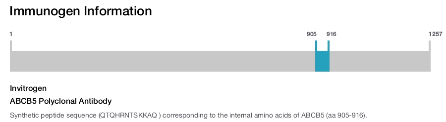 ABCB5 Polyclonal Antibody