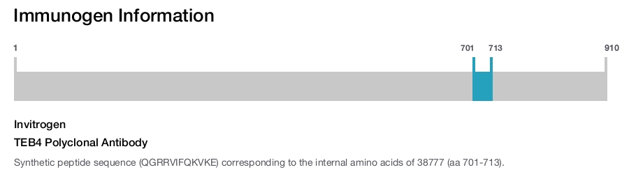 TEB4 Polyclonal Antibody