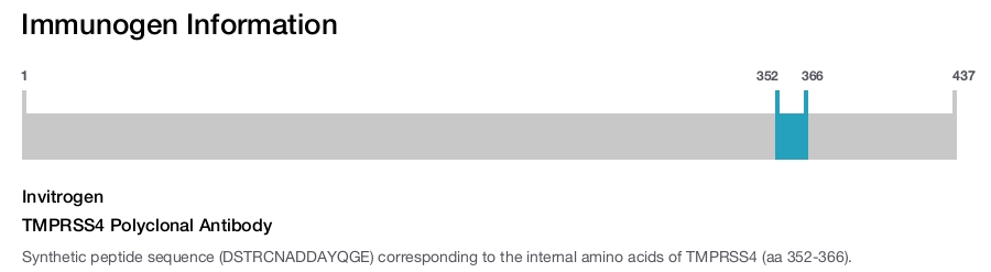 TMPRSS4 Polyclonal Antibody