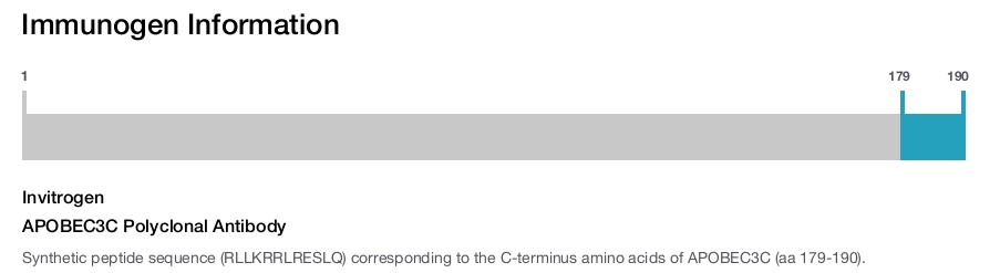 APOBEC3C Polyclonal Antibody