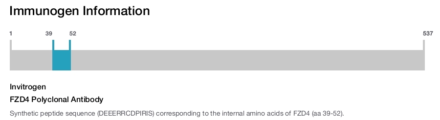 FZD4 Polyclonal Antibody
