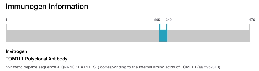 TOM1L1 Polyclonal Antibody