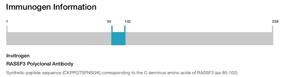 RASSF3 Polyclonal Antibody