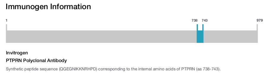 PTPRN Polyclonal Antibody