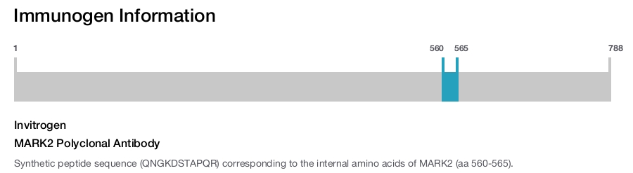 MARK2 Polyclonal Antibody