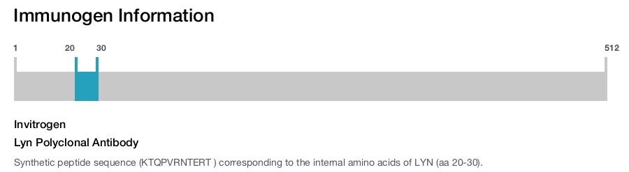 Lyn Polyclonal Antibody
