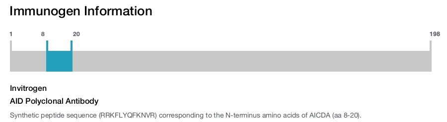 AID Polyclonal Antibody