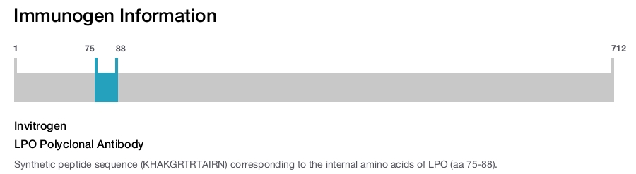 LPO Polyclonal Antibody