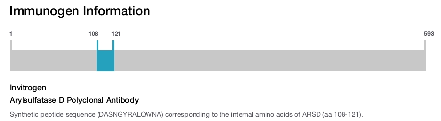Arylsulfatase D Polyclonal Antibody