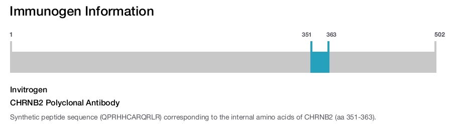 CHRNB2 Polyclonal Antibody