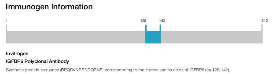 IGFBP6 Polyclonal Antibody