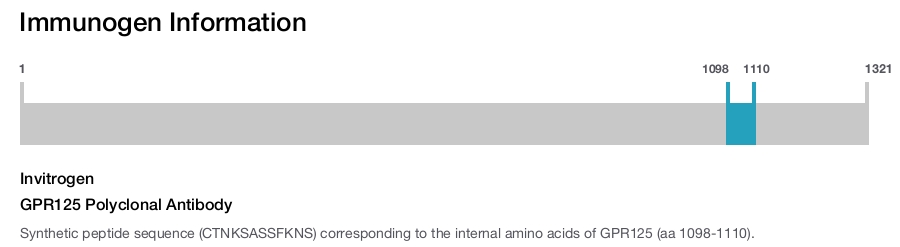 GPR125 Polyclonal Antibody
