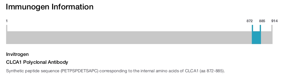 CLCA1 Polyclonal Antibody