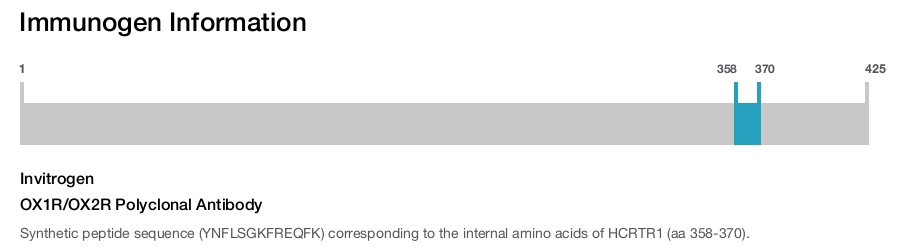 OX1R/OX2R Polyclonal Antibody