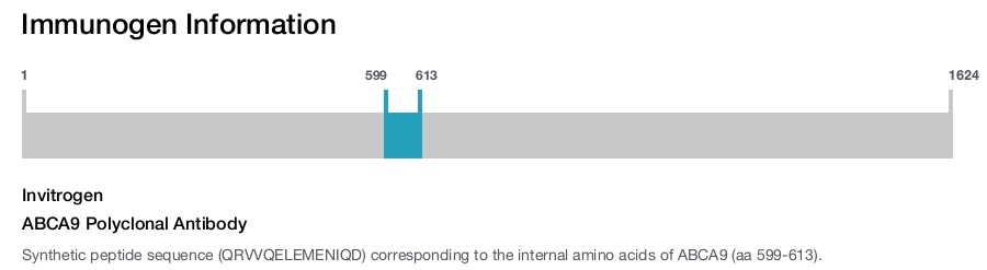 ABCA9 Polyclonal Antibody