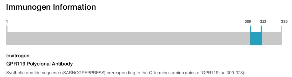 GPR119 Polyclonal Antibody