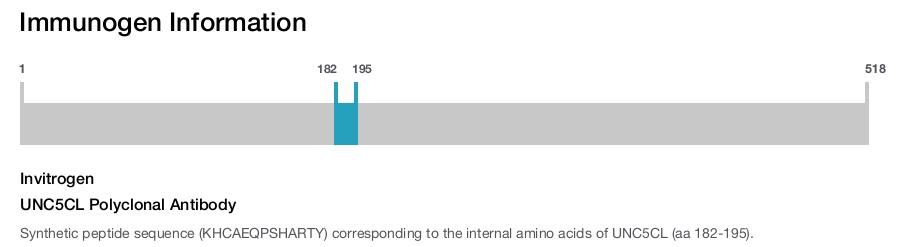 UNC5CL Polyclonal Antibody