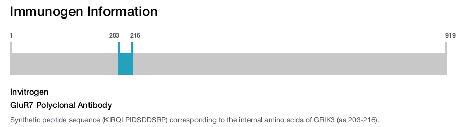 GluR7 Polyclonal Antibody
