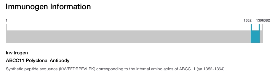 ABCC11 Polyclonal Antibody