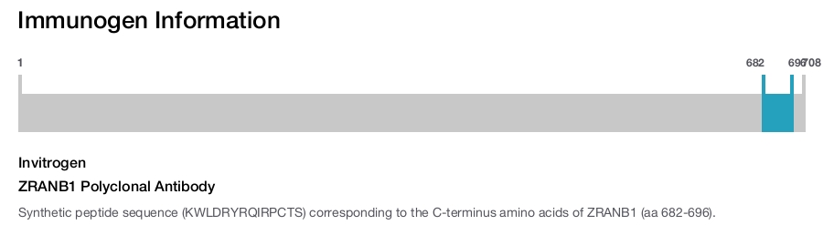 ZRANB1 Polyclonal Antibody