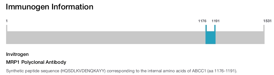 MRP1 Polyclonal Antibody