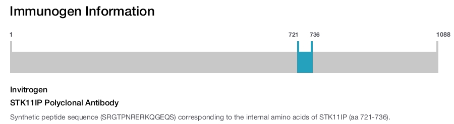 STK11IP Polyclonal Antibody
