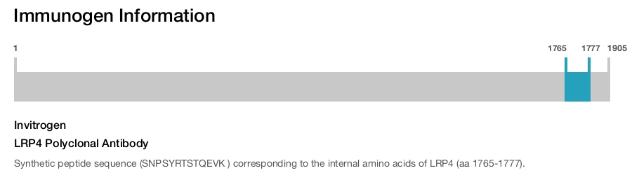 LRP4 Polyclonal Antibody