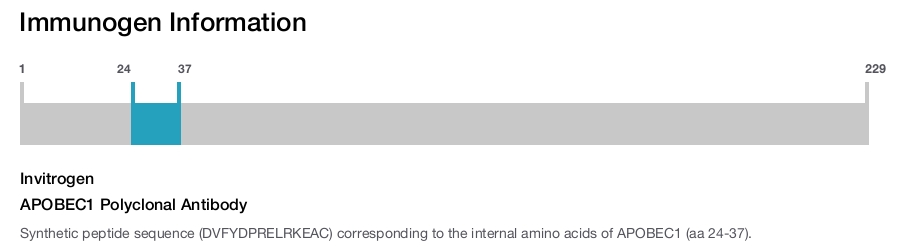 APOBEC1 Polyclonal Antibody