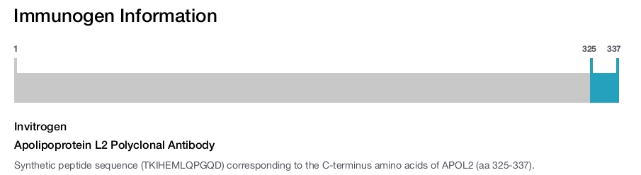 Apolipoprotein L2 Polyclonal Antibody