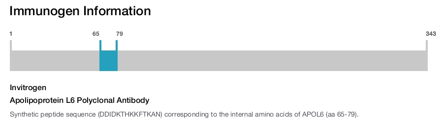 Apolipoprotein L6 Polyclonal Antibody