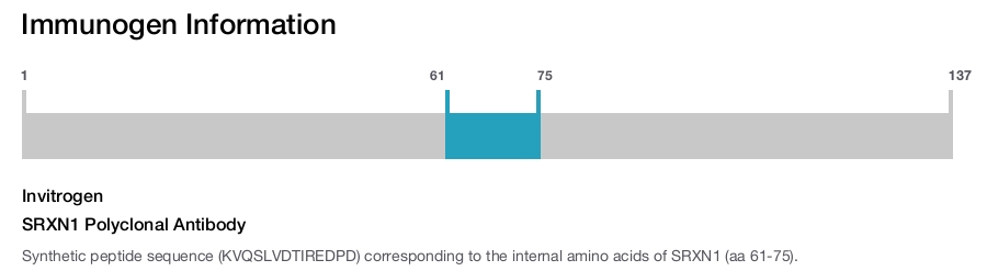 SRXN1 Polyclonal Antibody