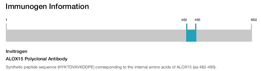 ALOX15 Polyclonal Antibody