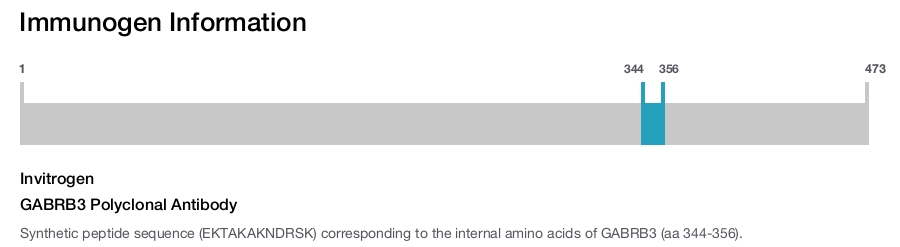GABRB3 Polyclonal Antibody