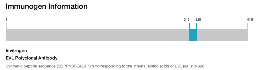 EVL Polyclonal Antibody