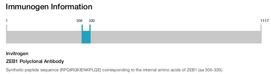 ZEB1 Polyclonal Antibody