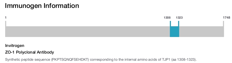 ZO-1 Polyclonal Antibody