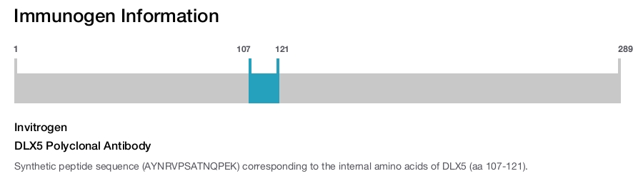 DLX5 Polyclonal Antibody