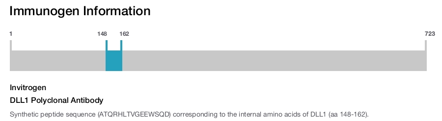 DLL1 Polyclonal Antibody
