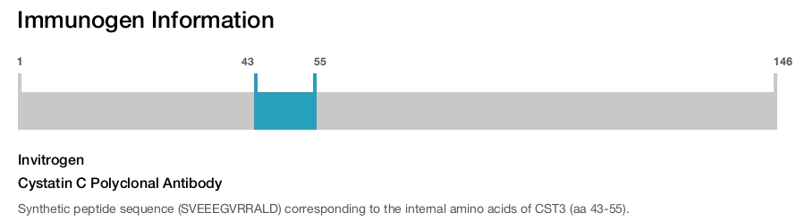 Cystatin C Polyclonal Antibody