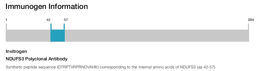NDUFS3 Polyclonal Antibody
