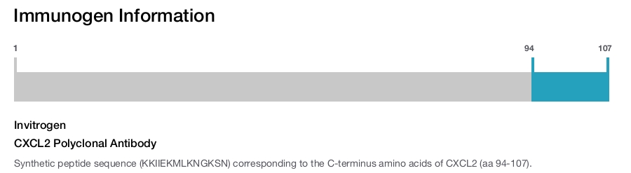 CXCL2 Polyclonal Antibody