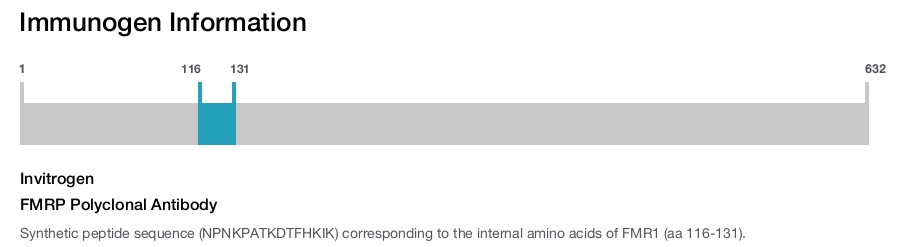 FMRP Polyclonal Antibody