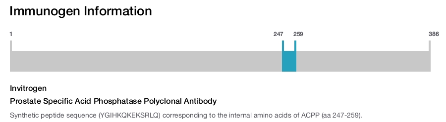 Prostate Specific Acid Phosphatase Polyclonal Antibody