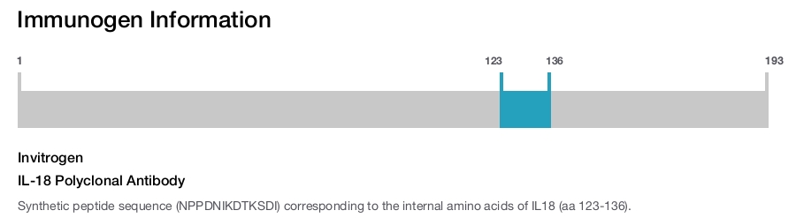 IL-18 Polyclonal Antibody
