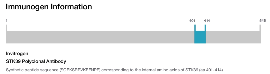 STK39 Polyclonal Antibody