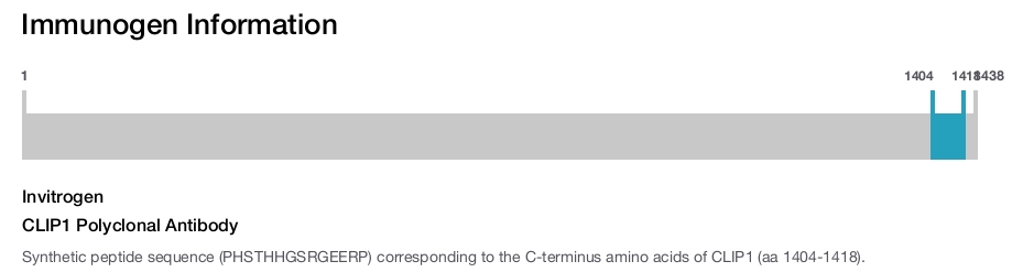 CLIP1 Polyclonal Antibody